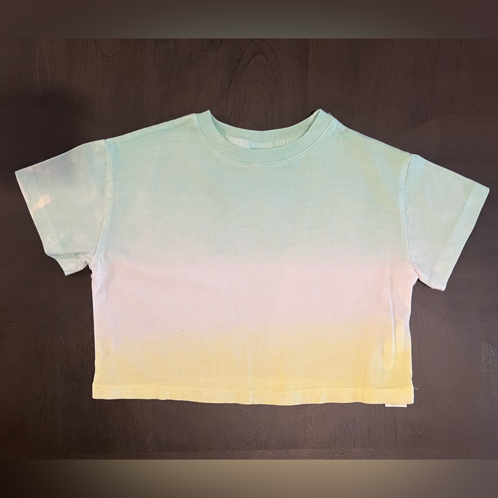 Zara Dip Dye Tshirt
